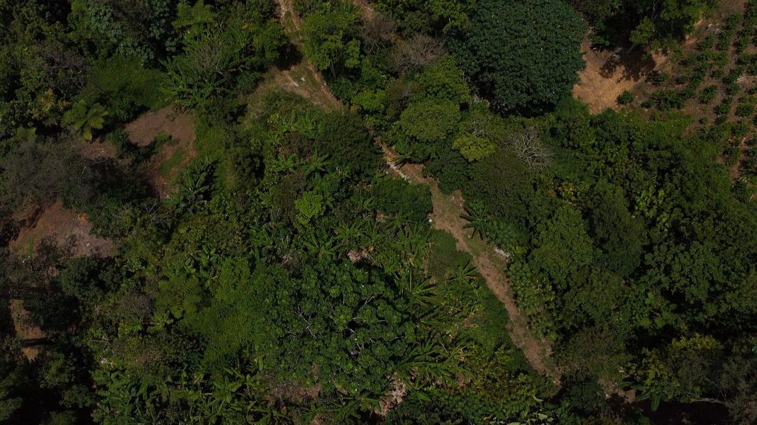 Carr 613 Km 6.4 Bo Tetuan Utuado 00641 PR