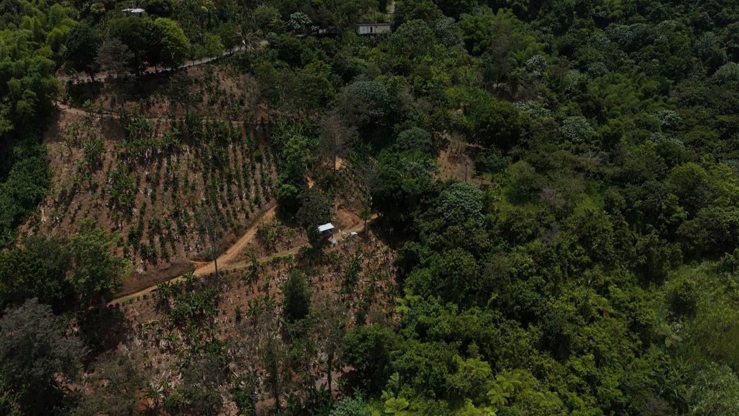 Carr 613 Km 6.4 Bo Tetuan Utuado 00641 PR