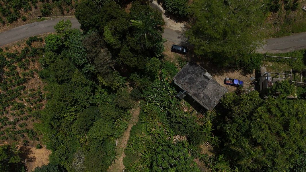 Carr 613 Km 6.4 Bo Tetuan Utuado 00641 PR