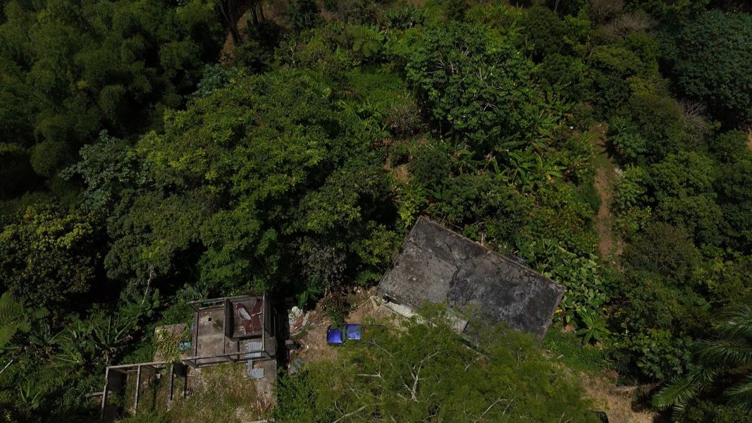 Carr 613 Km 6.4 Bo Tetuan Utuado 00641 PR