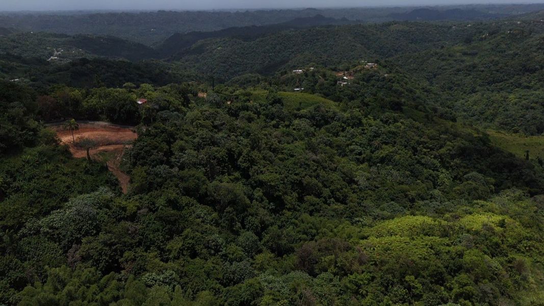 Carr 613 Km 6.4 Bo Tetuan Utuado 00641 PR