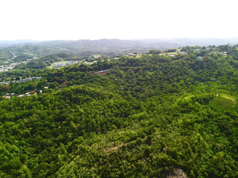 Carr 349 Km 1.01 Bo Quebrada Grande Mayaguez 00680 PR