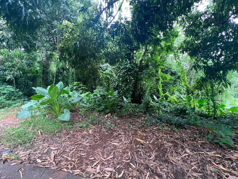 Carr 349 Km 1.01 Bo Quebrada Grande Mayaguez 00680 PR