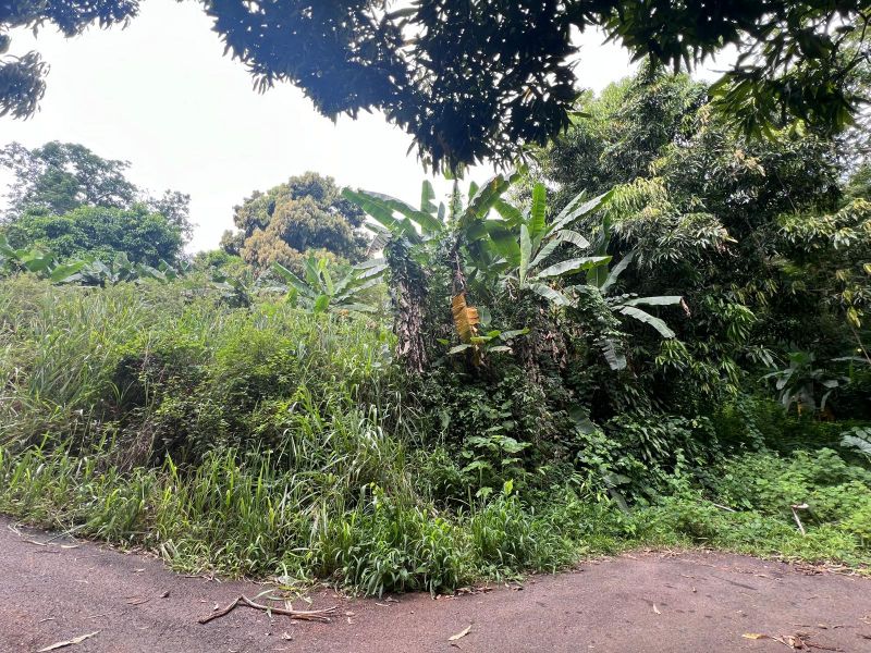 Carr 349 Km 1.01 Bo Quebrada Grande Mayaguez 00680 PR