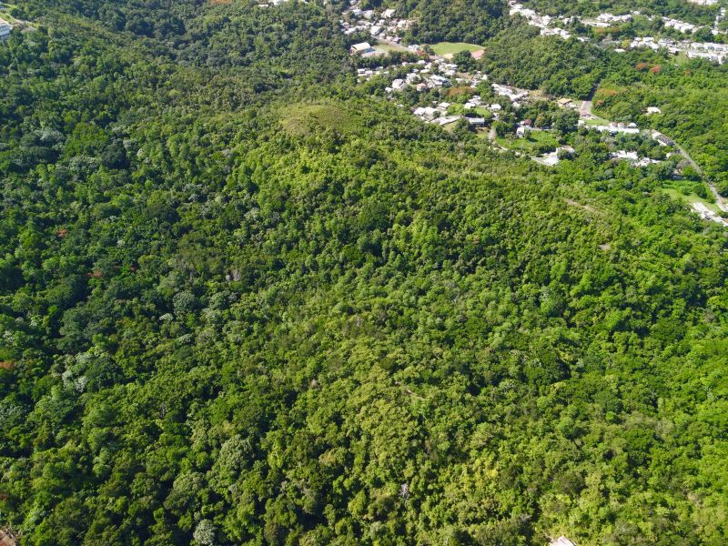 Carr 349 Km 1.01 Bo Quebrada Grande Mayaguez 00680 PR