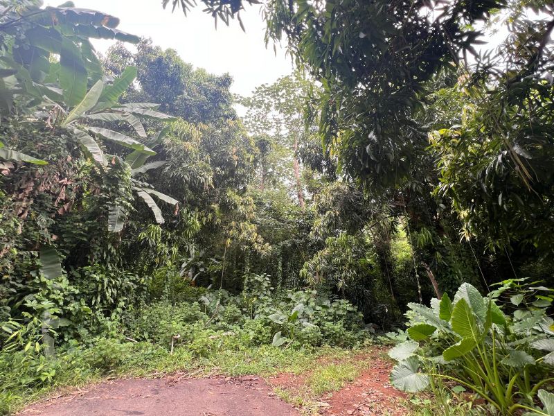 Carr 349 Km 1.01 Bo Quebrada Grande Mayaguez 00680 PR