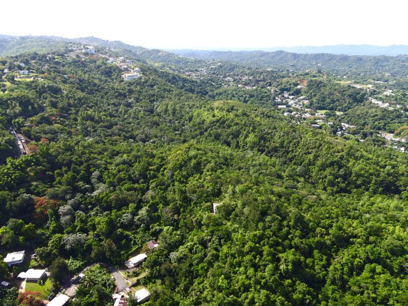 Carr 349 Km 1.01 Bo Quebrada Grande Mayaguez 00680 PR