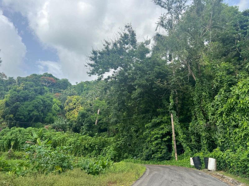 Carr 349 Km 1.01 Bo Quebrada Grande Mayaguez 00680 PR