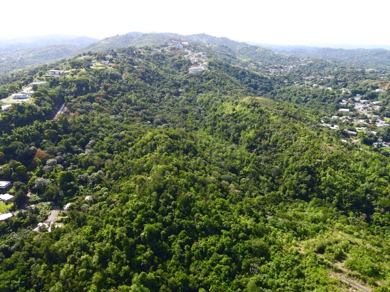 Carr 349 Km 1.01 Bo Quebrada Grande Mayaguez 00680 PR