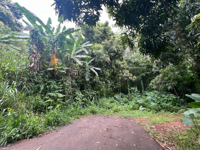 Carr 349 Km 1.01 Bo Quebrada Grande Mayaguez 00680 PR