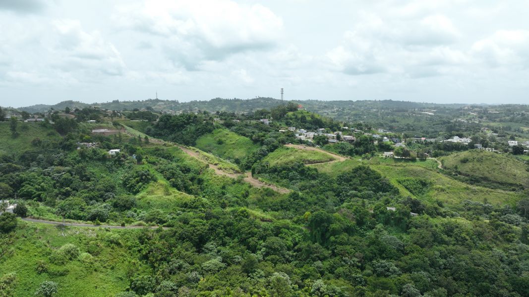 Carr 773 Km 2.6 Bo Quebradillas Barranquitas 00794 PR