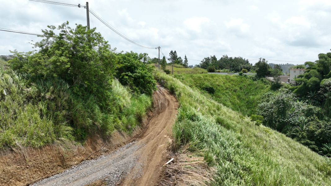 Carr 773 Km 2.6 Bo Quebradillas Barranquitas 00794 PR