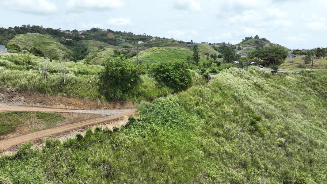 Carr 773 Km 2.6 Bo Quebradillas Barranquitas 00794 PR