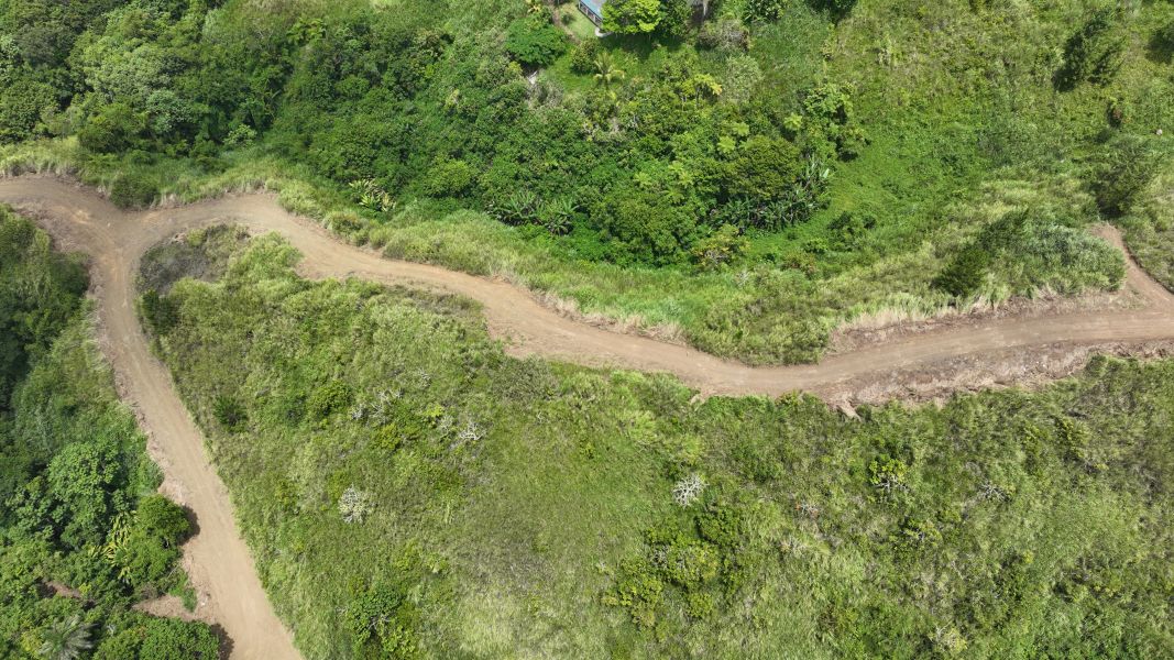 Carr 773 Km 2.6 Bo Quebradillas Barranquitas 00794 PR
