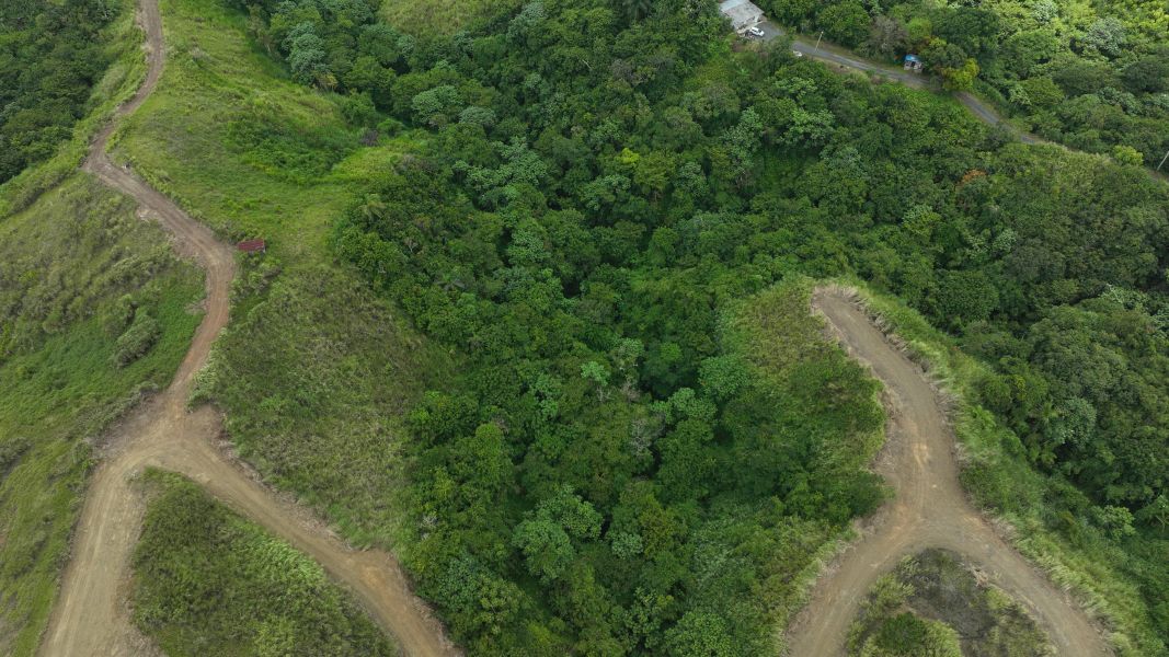 Carr 773 Km 2.6 Bo Quebradillas Barranquitas 00794 PR