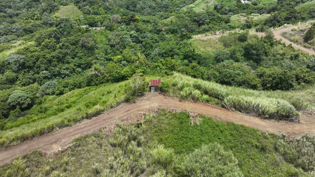 Carr 773 Km 2.6 Bo Quebradillas Barranquitas 00794 PR