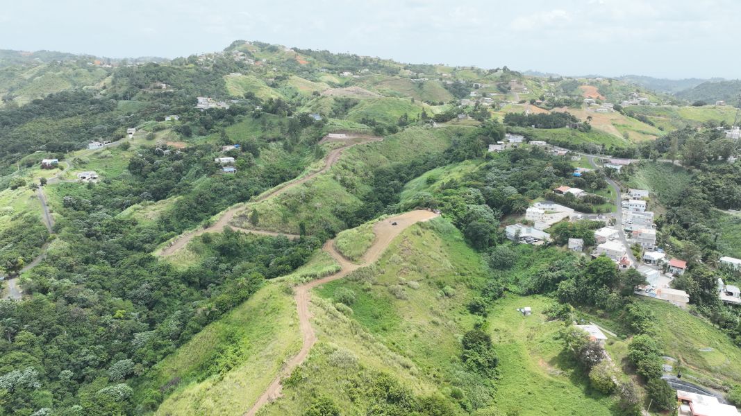 Carr 773 Km 2.6 Bo Quebradillas Barranquitas 00794 PR
