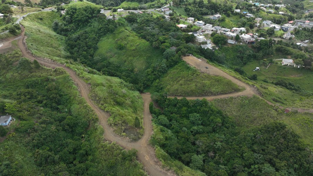 Carr 773 Km 2.6 Bo Quebradillas Barranquitas 00794 PR