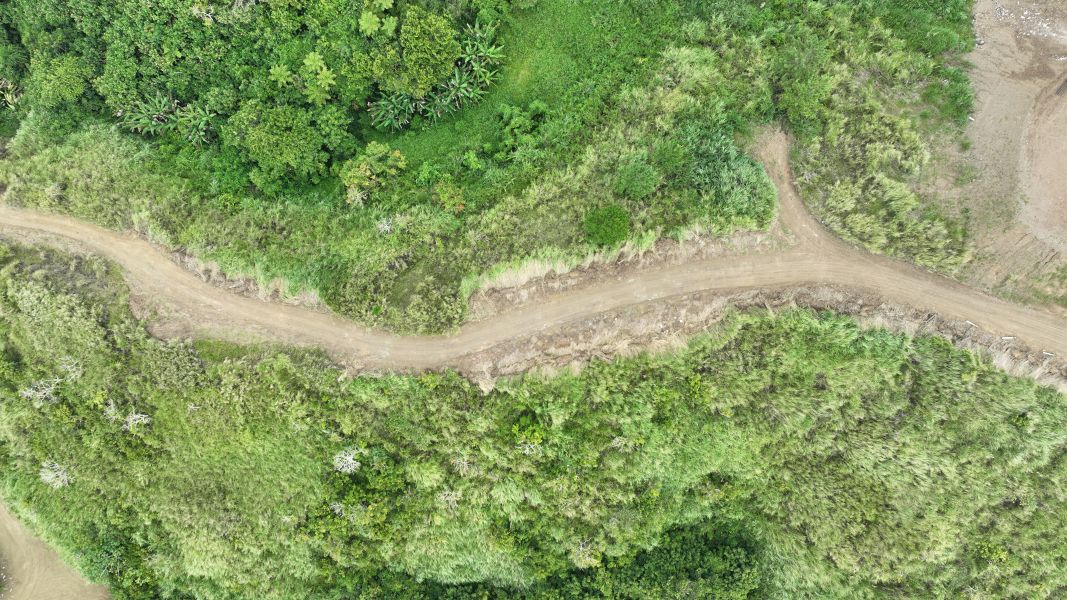 Carr 773 Km 2.6 Bo Quebradillas Barranquitas 00794 PR