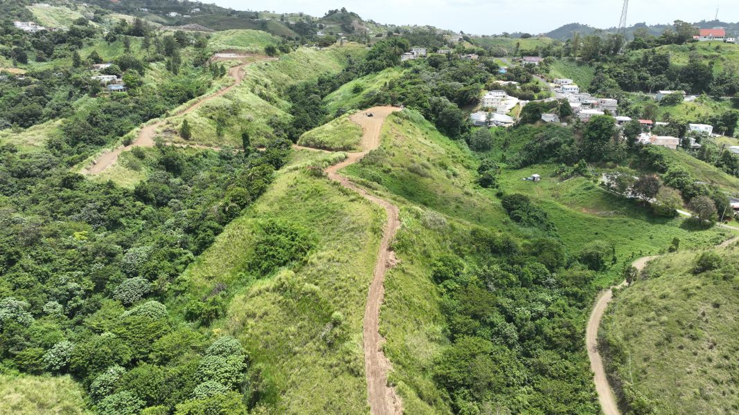 Carr 773 Km 2.6 Bo Quebradillas Barranquitas 00794 PR