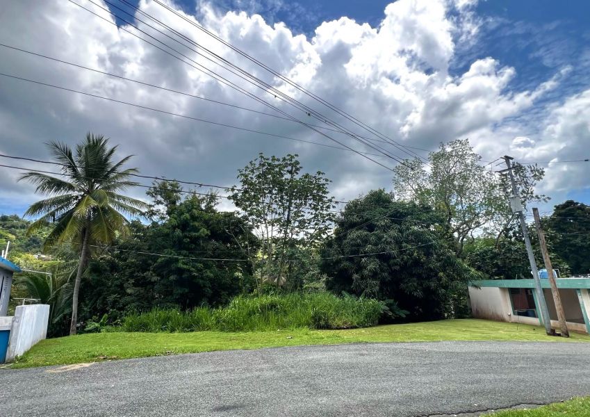 Carr 348 Km 2.5 Int Camino Juan Alonso Bo Quebrada Mayaguez 00680 PR