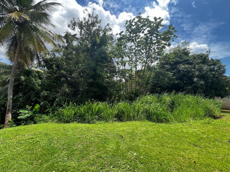 Carr 348 Km 2.5 Int Camino Juan Alonso Bo Quebrada Mayaguez 00680 PR