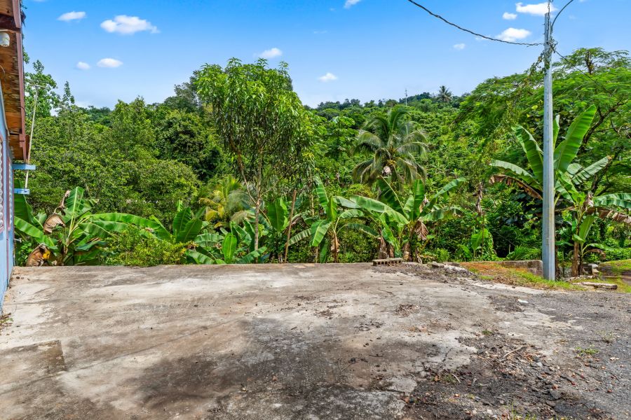 Bo Cerrote Carr 124 Km 12.9 Las Marias 00670 PR