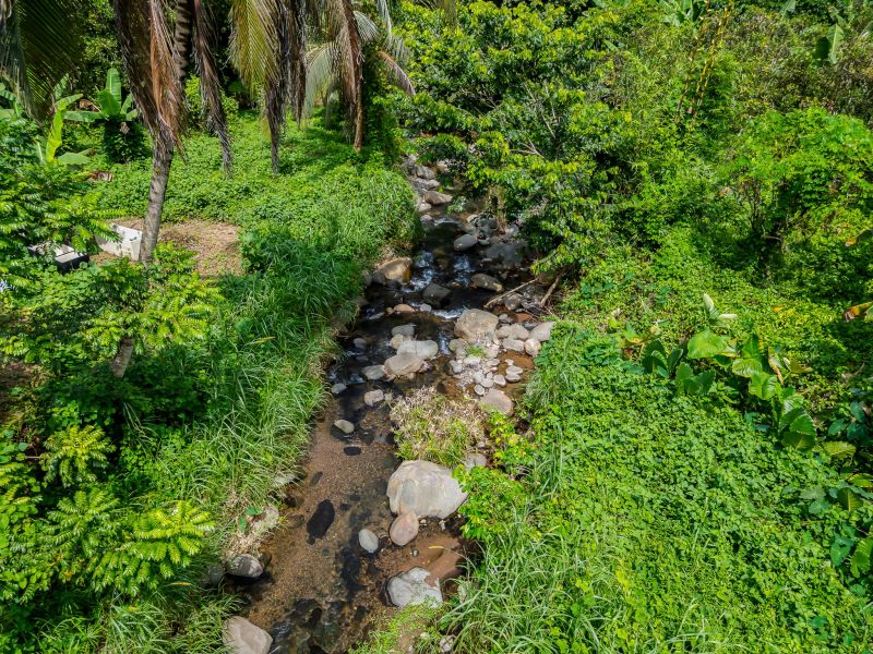 Bo Cerrote Carr 124 Km 12.9 Las Marias 00670 PR