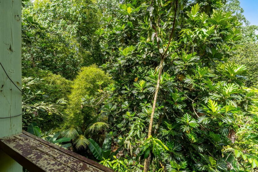 Bo Cerrote Carr 124 Km 12.9 Las Marias 00670 PR