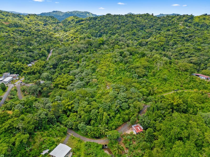 Bo Cerrote Carr 124 Km 12.9 Las Marias 00670 PR