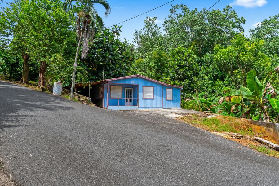 Bo Cerrote Carr 124 Km 12.9 Las Marias 00670 PR