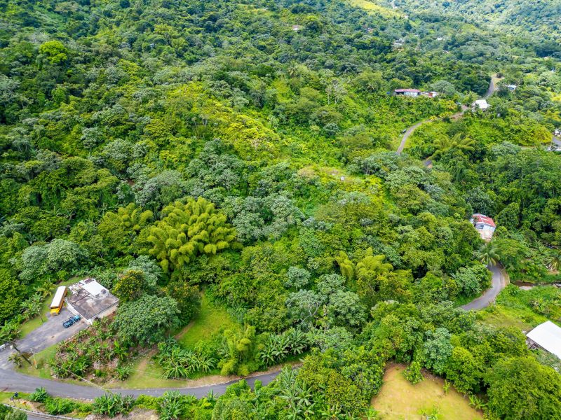 Bo Cerrote Carr 124 Km 12.9 Las Marias 00670 PR