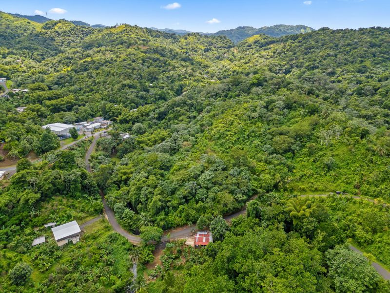 Bo Cerrote Carr 124 Km 12.9 Las Marias 00670 PR