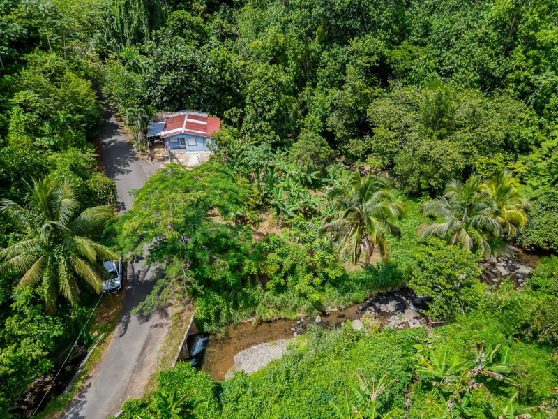 Bo Cerrote Carr 124 Km 12.9 Las Marias 00670 PR