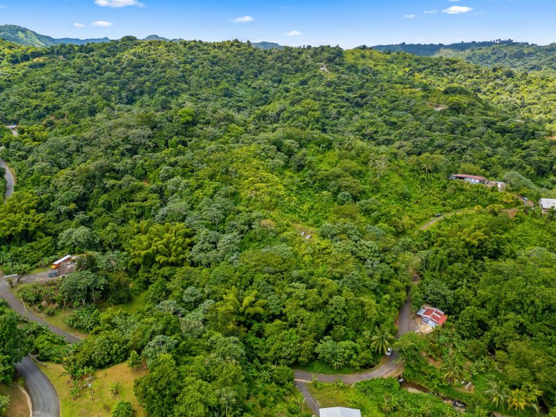 Bo Cerrote Carr 124 Km 12.9 Las Marias 00670 PR