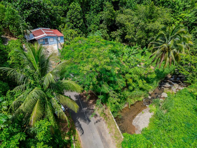 Bo Cerrote Carr 124 Km 12.9 Las Marias 00670 PR