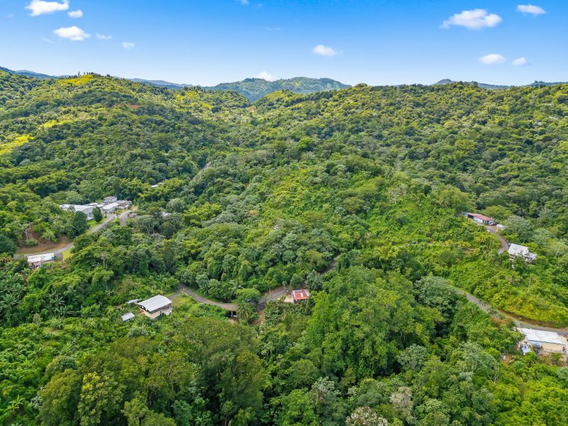 Bo Cerrote Carr 124 Km 12.9 Las Marias 00670 PR