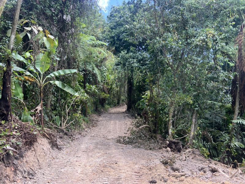 Pr-5525 Km 1.3 Limari, Aguada - 13