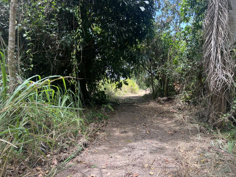 Pr-5525 Km 1.3 Limari, Aguada - 5