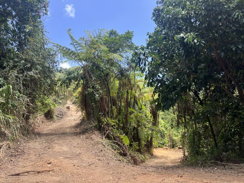 Pr-5525 Km 1.3 Limari, Aguada - 12