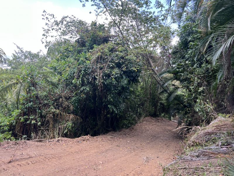 Pr-5525 Km 1.3 Limari, Aguada - 3