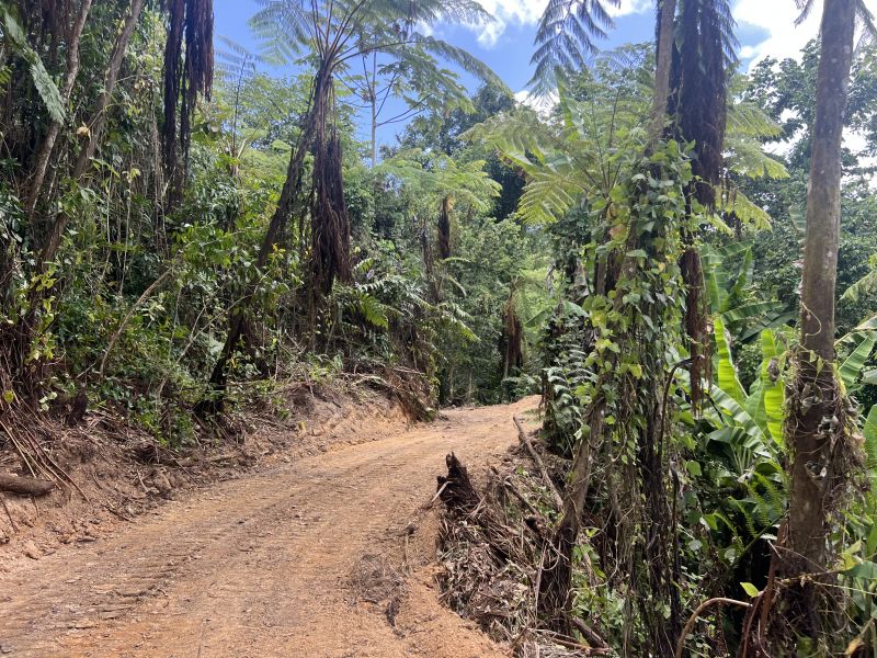Pr-5525 Km 1.3 Limari, Aguada - 14