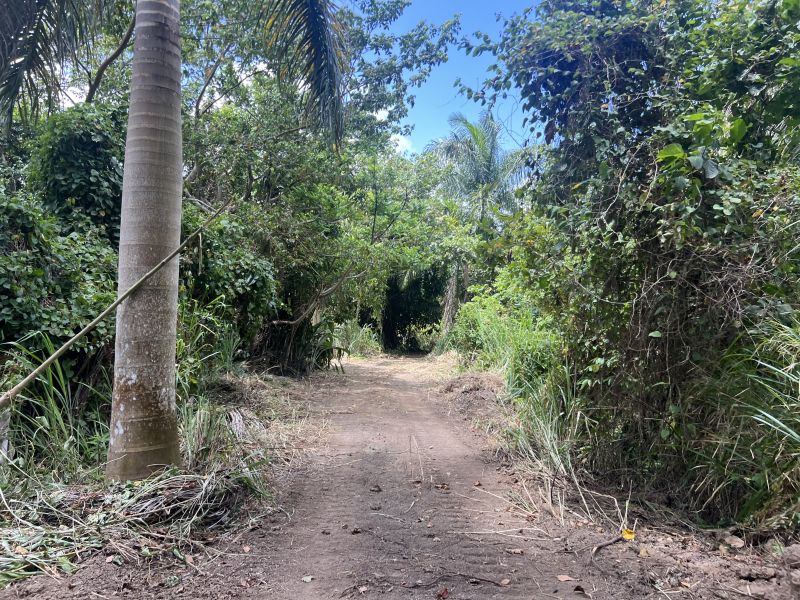 Pr-5525 Km 1.3 Limari, Aguada - 4