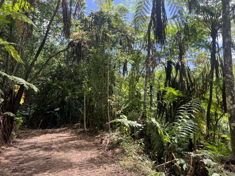 Pr-5525 Km 1.3 Limari, Aguada - 15