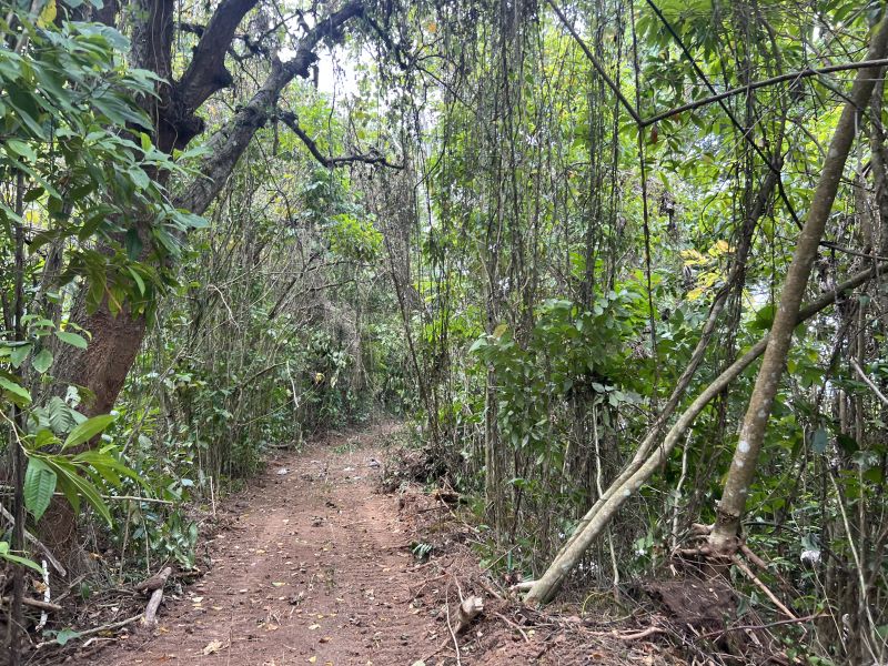 Pr-5525 Km 1.3 Limari, Aguada - 16