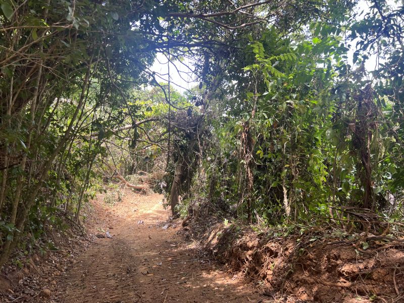 Pr-5525 Km 1.3 Limari, Aguada - 11