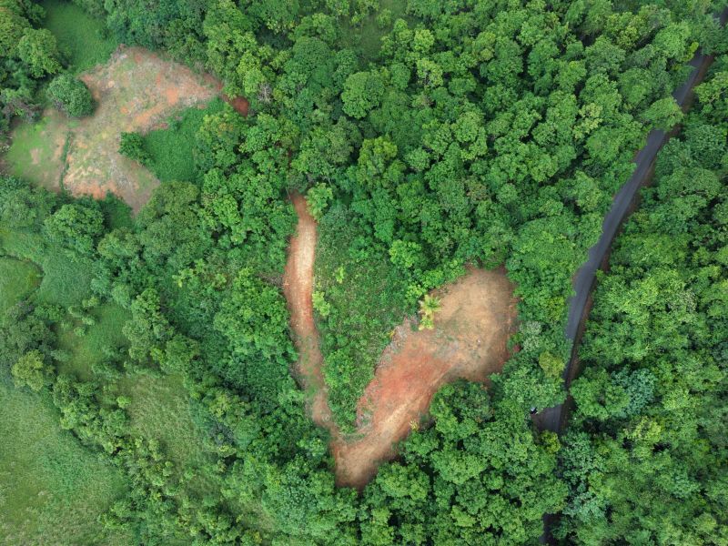 Carr 945 Bo Masas Gurabo 00778 PR