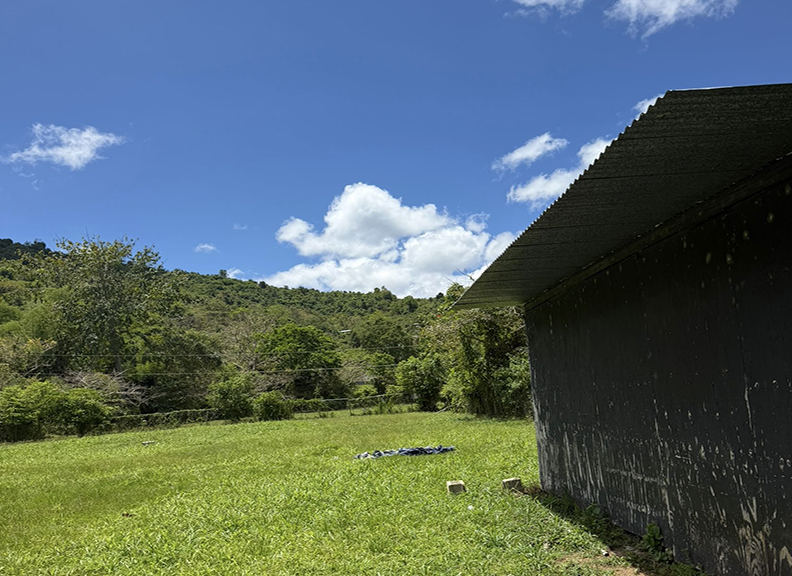 Bo Maton Abajo Carr 14 Ramal 730 Km Hm 0.8, Cayey - 8
