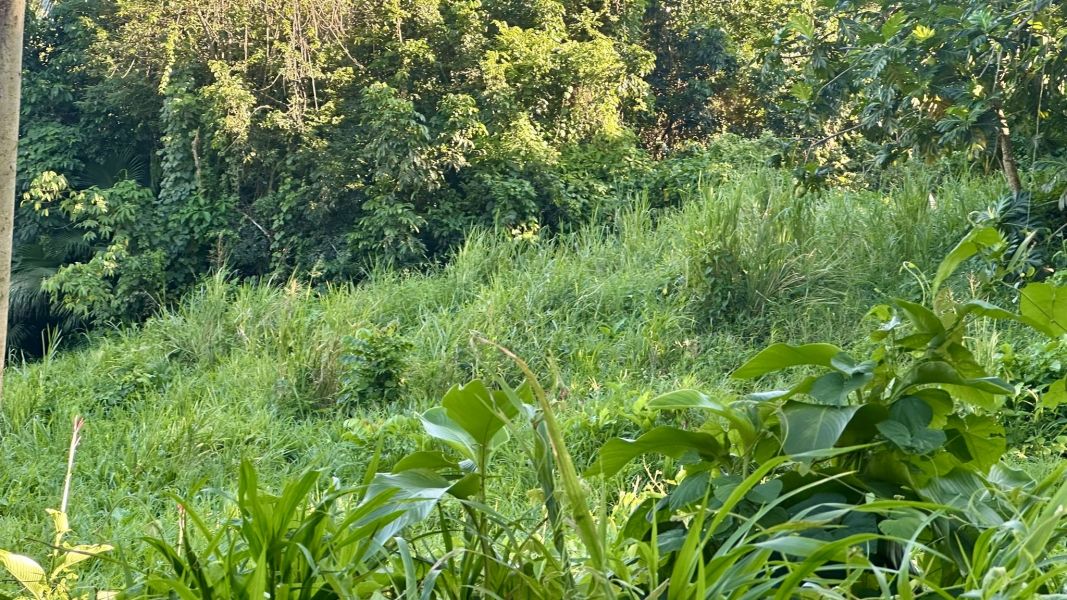 Lote 1 Km 5.7 Carr 172 Bo Cañaboncito Caguas 00727 PR