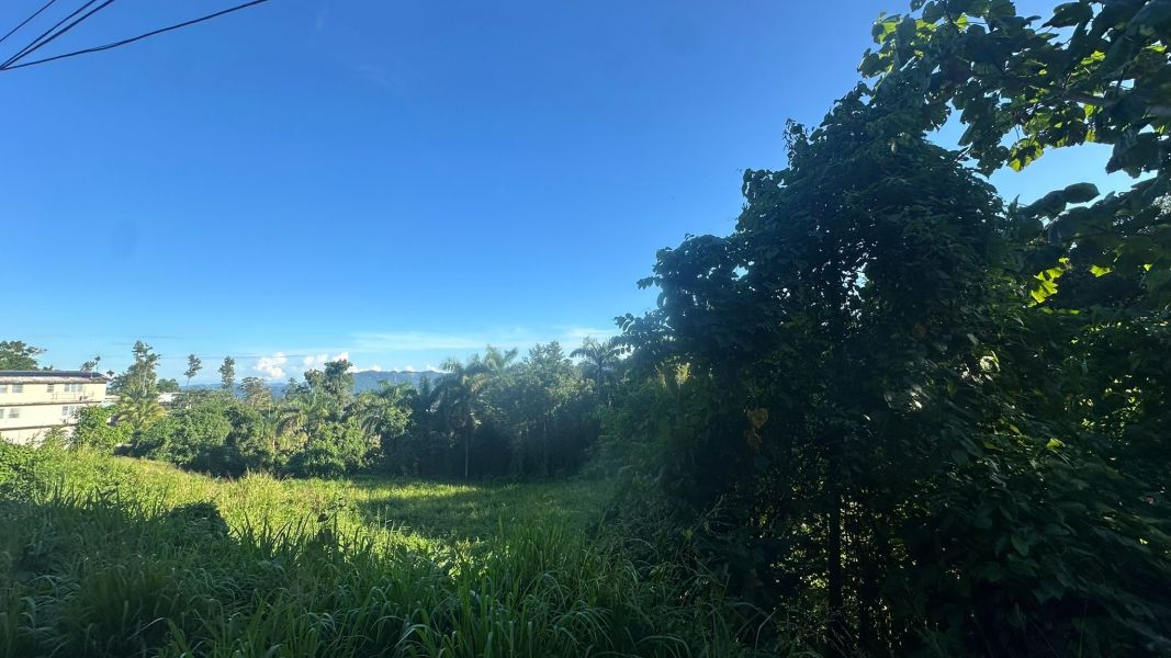 Lote 1 Km 5.7 Carr 172 Bo Cañaboncito Caguas 00727 PR